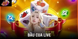 bau cua live